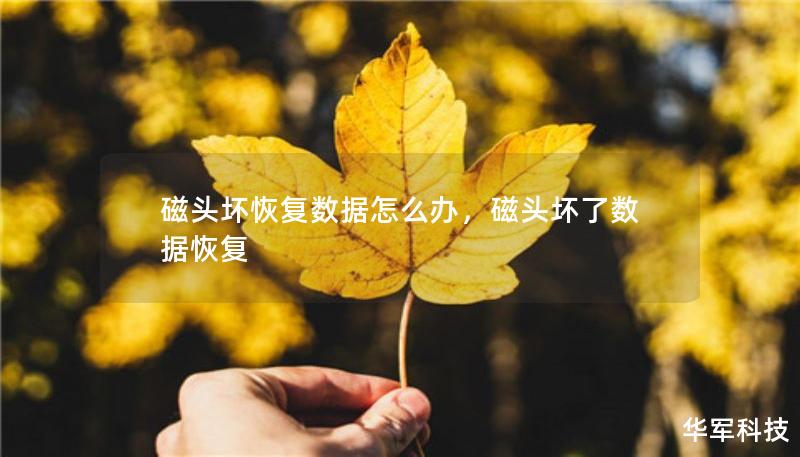 磁頭壞恢復(fù)數(shù)據(jù)怎么辦，磁頭壞了數(shù)據(jù)恢復(fù)