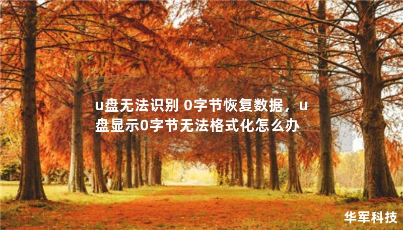 u盤無法識別 0字節(jié)恢復(fù)數(shù)據(jù)，u盤顯示0字節(jié)無法格式化怎么辦