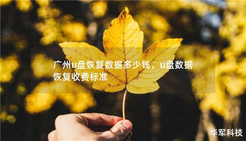 廣州u盤恢復(fù)數(shù)據(jù)多少錢，u盤數(shù)據(jù)恢復(fù)收費(fèi)標(biāo)準(zhǔn)