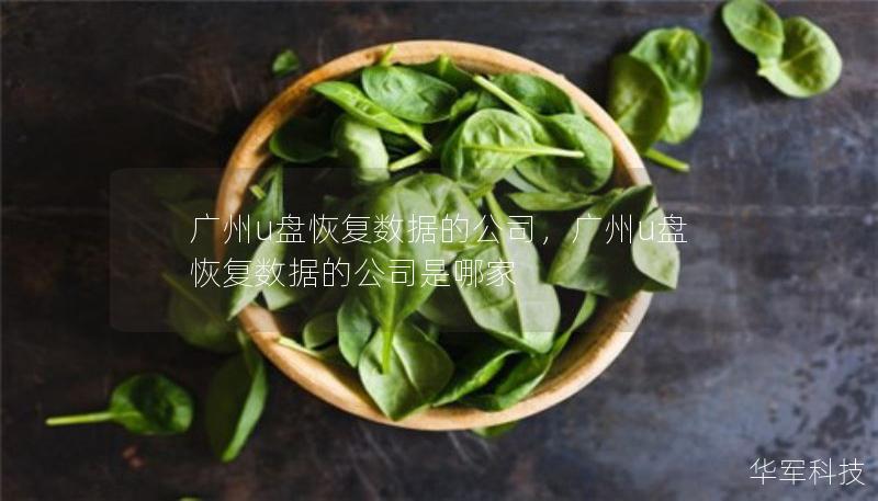 廣州u盤恢復(fù)數(shù)據(jù)的公司，廣州u盤恢復(fù)數(shù)據(jù)的公司是哪家