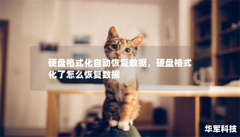 硬盤(pán)格式化自動(dòng)恢復(fù)數(shù)據(jù)，硬盤(pán)格式化了怎么恢復(fù)數(shù)據(jù)
