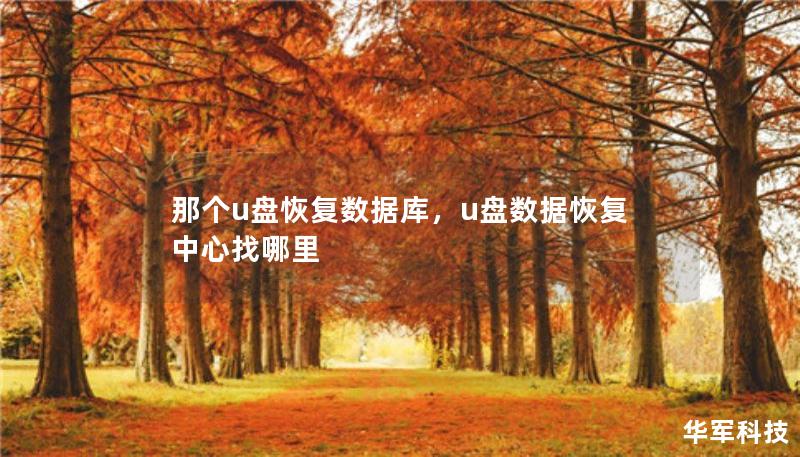 那個u盤恢復(fù)數(shù)據(jù)庫，u盤數(shù)據(jù)恢復(fù)中心找哪里