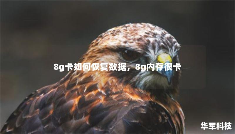 8g卡如何恢復(fù)數(shù)據(jù)，8g內(nèi)存很卡