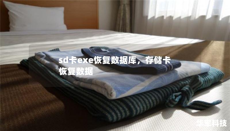 sd卡exe恢復(fù)數(shù)據(jù)庫，存儲(chǔ)卡 恢復(fù)數(shù)據(jù)