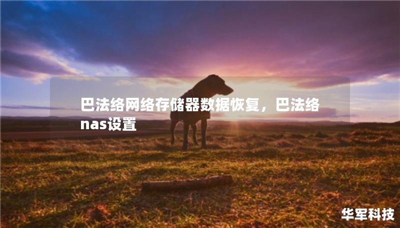 巴法絡(luò)網(wǎng)絡(luò)存儲器數(shù)據(jù)恢復(fù)，巴法絡(luò)nas設(shè)置