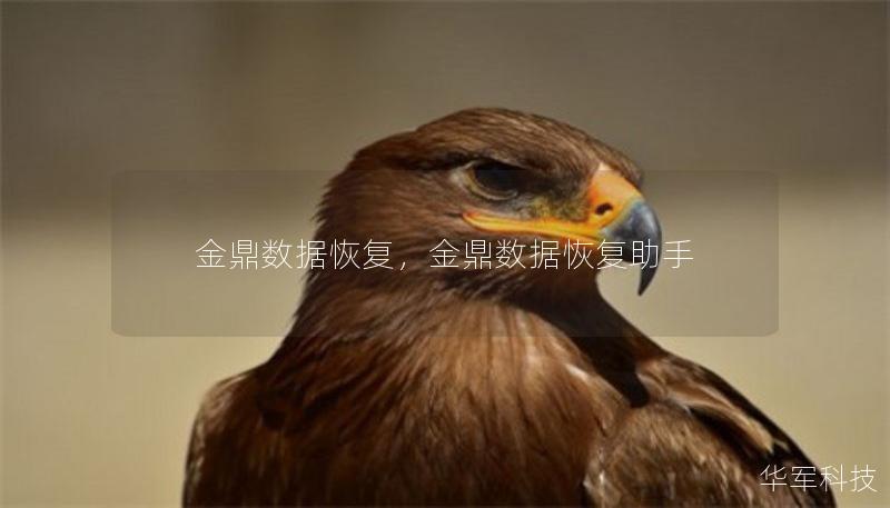 金鼎數(shù)據(jù)恢復(fù)，金鼎數(shù)據(jù)恢復(fù)助手