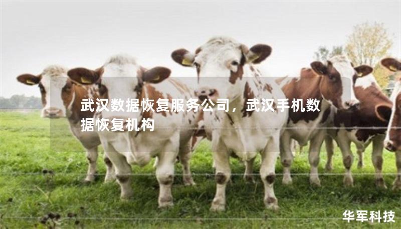 武漢數(shù)據(jù)恢復(fù)服務(wù)公司，武漢手機數(shù)據(jù)恢復(fù)機構(gòu)