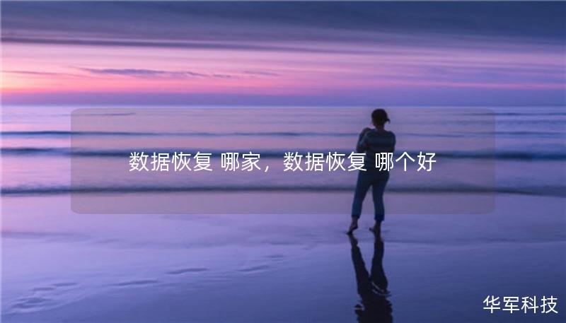 數(shù)據(jù)恢復(fù) 哪家，數(shù)據(jù)恢復(fù) 哪個好