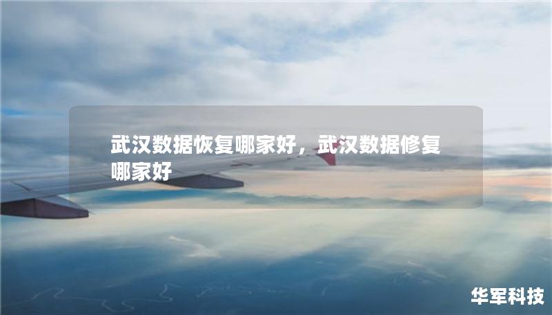 武漢數(shù)據(jù)恢復(fù)哪家好，武漢數(shù)據(jù)修復(fù)哪家好