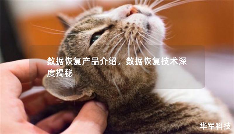 數(shù)據(jù)恢復產(chǎn)品介紹，數(shù)據(jù)恢復技術深度揭秘