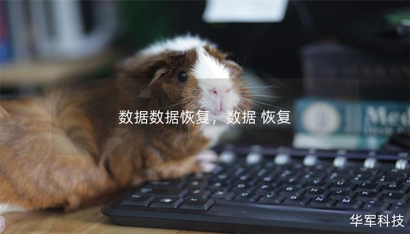 數(shù)據(jù)數(shù)據(jù)恢復(fù)，數(shù)據(jù) 恢復(fù)