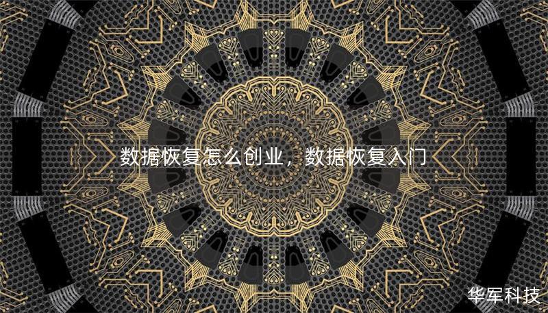 數(shù)據(jù)恢復(fù)怎么創(chuàng)業(yè)，數(shù)據(jù)恢復(fù)入門