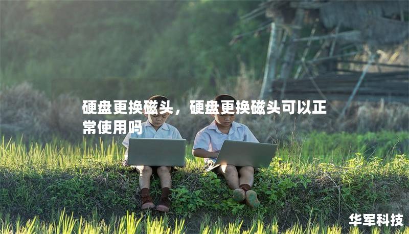 硬盤(pán)更換磁頭，硬盤(pán)更換磁頭可以正常使用嗎