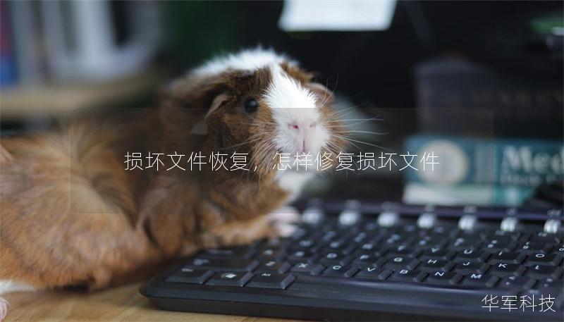 損壞文件恢復(fù)，怎樣修復(fù)損壞文件