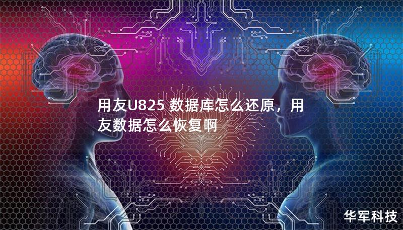 用友U825 數(shù)據(jù)庫怎么還原，用友數(shù)據(jù)怎么恢復(fù)啊