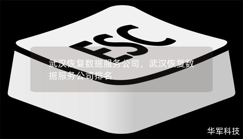 武漢恢復數(shù)據(jù)服務公司，武漢恢復數(shù)據(jù)服務公司排名