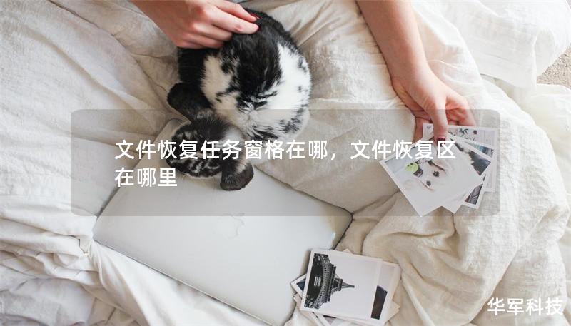 文件恢復(fù)任務(wù)窗格在哪，文件恢復(fù)區(qū)在哪里