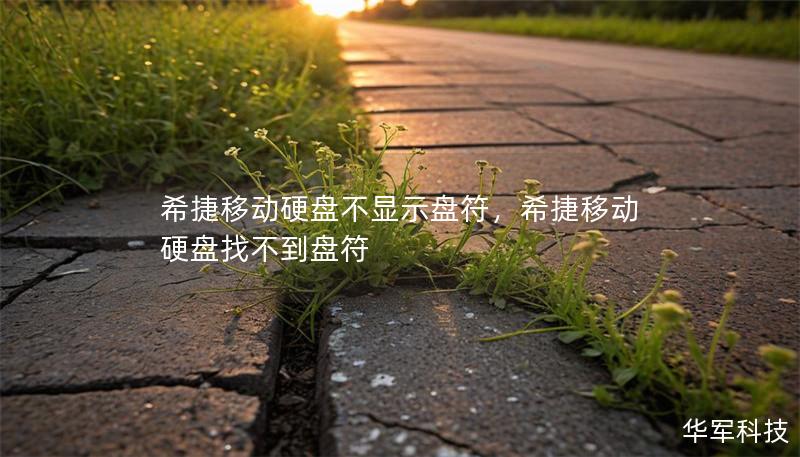希捷移動(dòng)硬盤不顯示盤符，希捷移動(dòng)硬盤找不到盤符