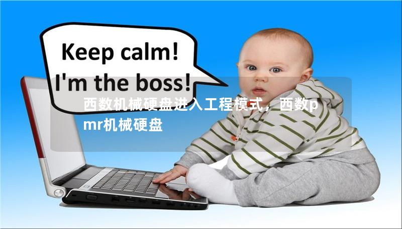西數(shù)機(jī)械硬盤進(jìn)入工程模式，西數(shù)pmr機(jī)械硬盤
