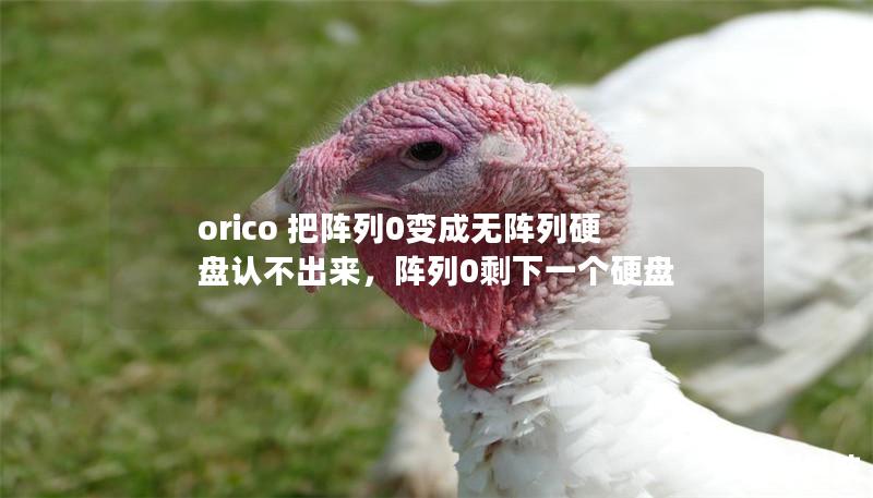 orico 把陣列0變成無(wú)陣列硬盤(pán)認(rèn)不出來(lái)，陣列0剩下一個(gè)硬盤(pán)