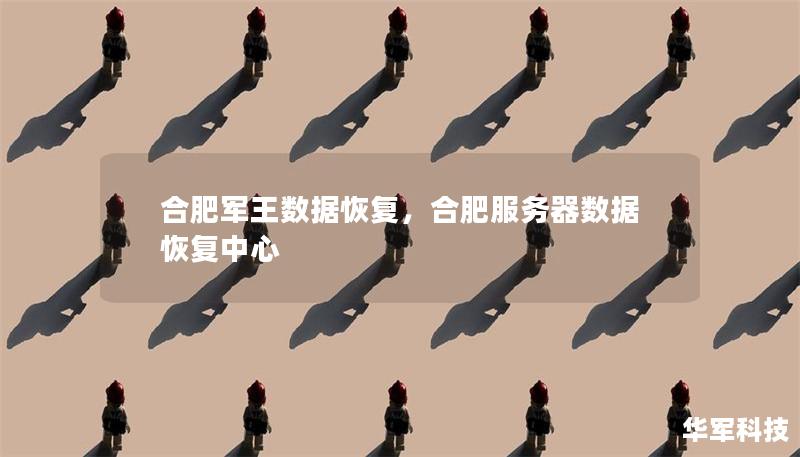 合肥軍王數(shù)據(jù)恢復(fù)，合肥服務(wù)器數(shù)據(jù)恢復(fù)中心