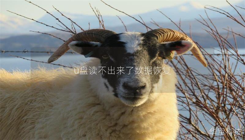 u盤讀不出來了數(shù)據(jù)恢復(fù)