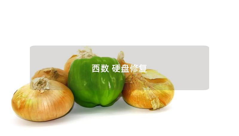 西數 硬盤修復