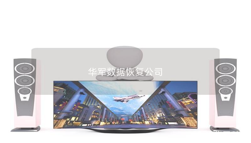 技王數(shù)據(jù)恢復(fù)公司