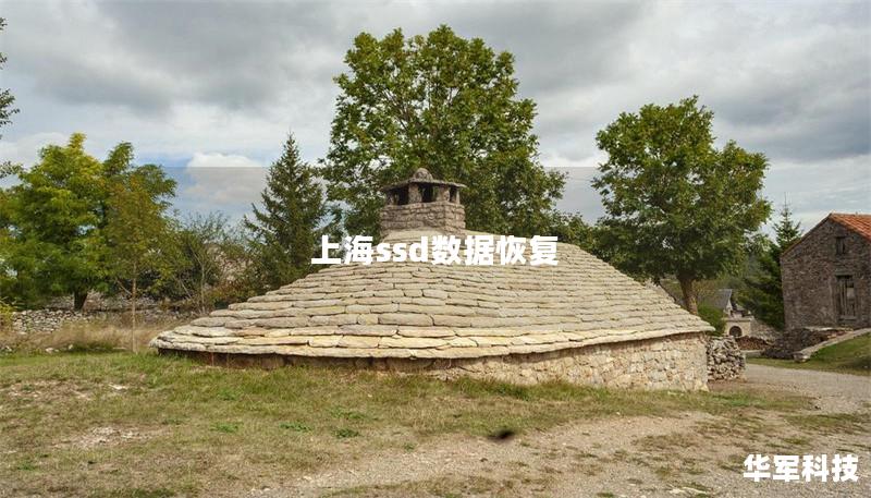 上海ssd數(shù)據(jù)恢復(fù)