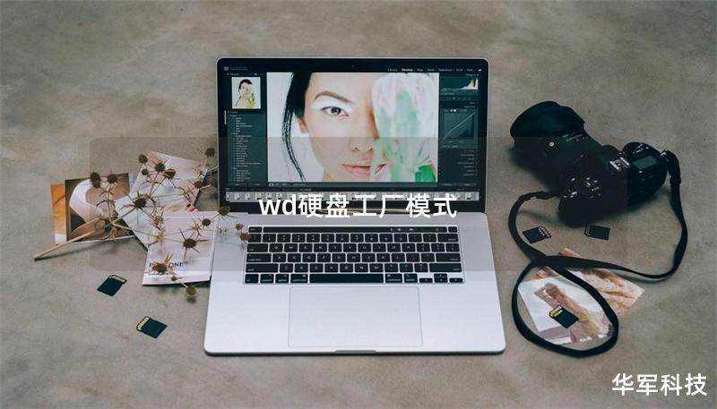 wd硬盤工廠模式