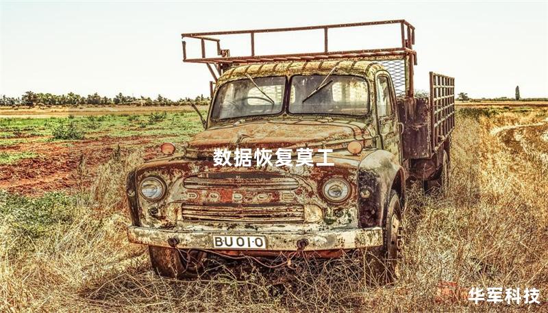數(shù)據(jù)恢復(fù)莫工