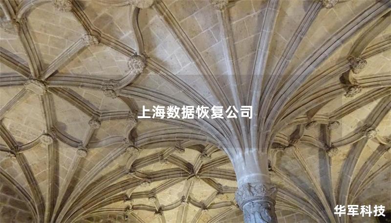 上海數(shù)據恢復公司