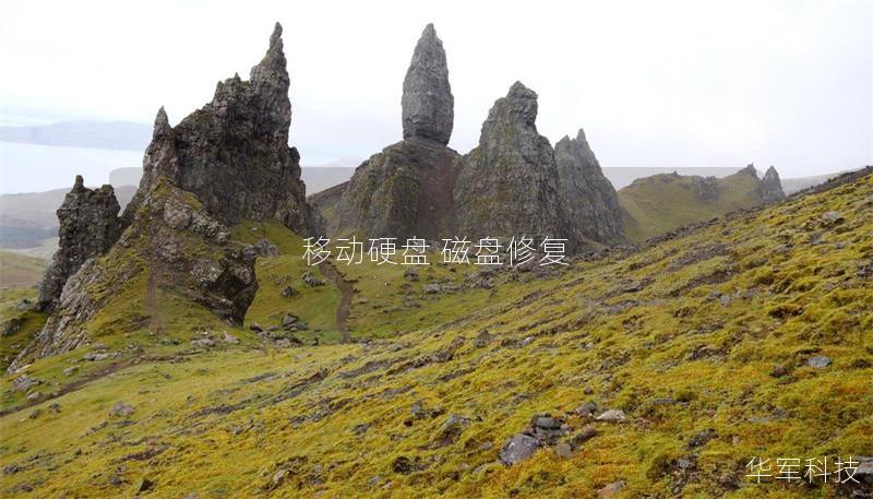 移動(dòng)硬盤 磁盤修復(fù)