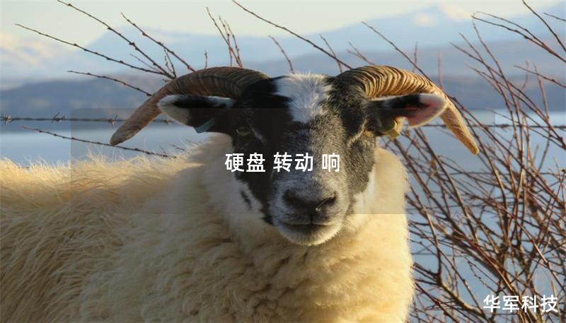 硬盤 轉(zhuǎn)動(dòng) 響