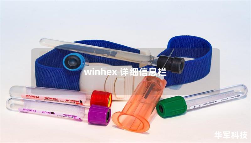 winhex 詳細信息欄