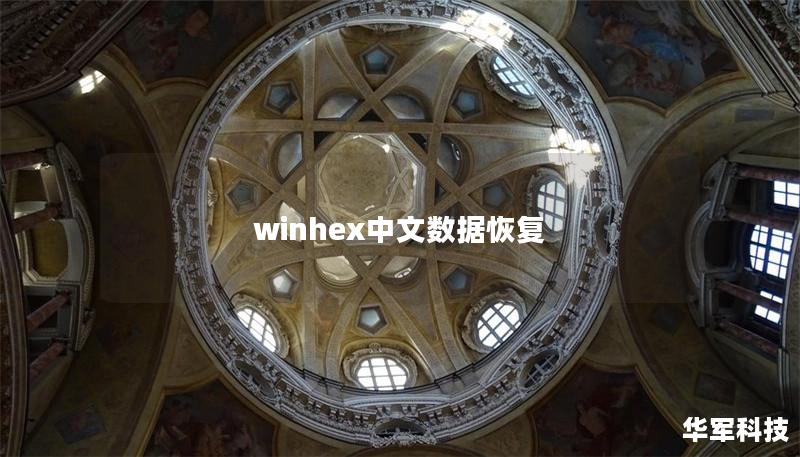winhex中文數(shù)據(jù)恢復(fù)