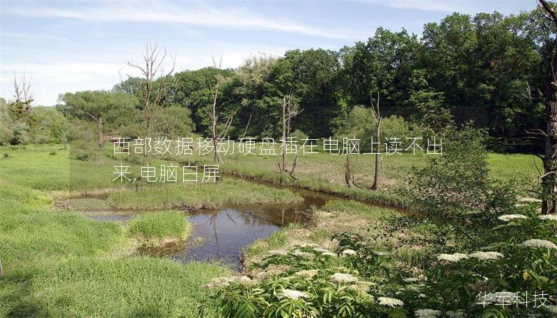 西部數(shù)據(jù)移動硬盤插在電腦上讀不出來,電腦白屏