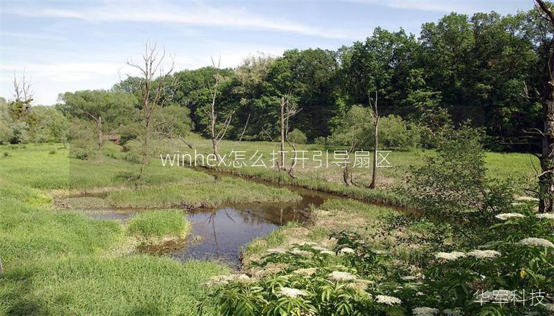 winhex怎么打開引導(dǎo)扇區(qū)