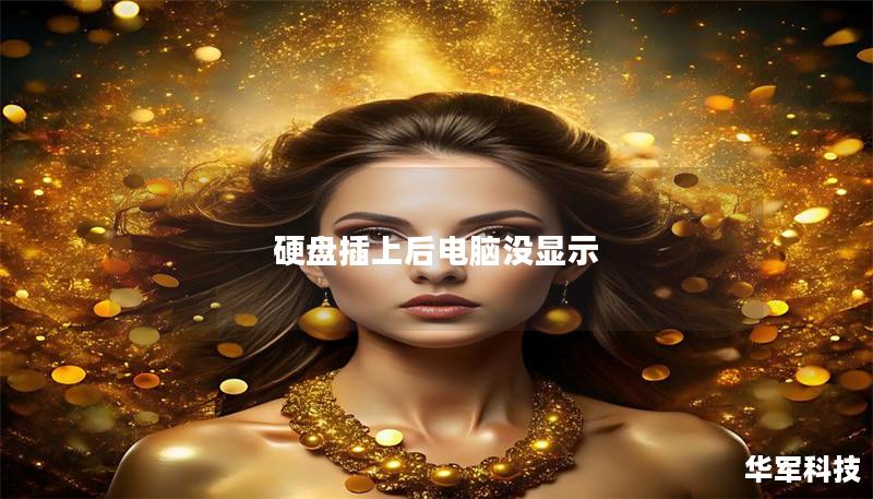 硬盤插上后電腦沒顯示