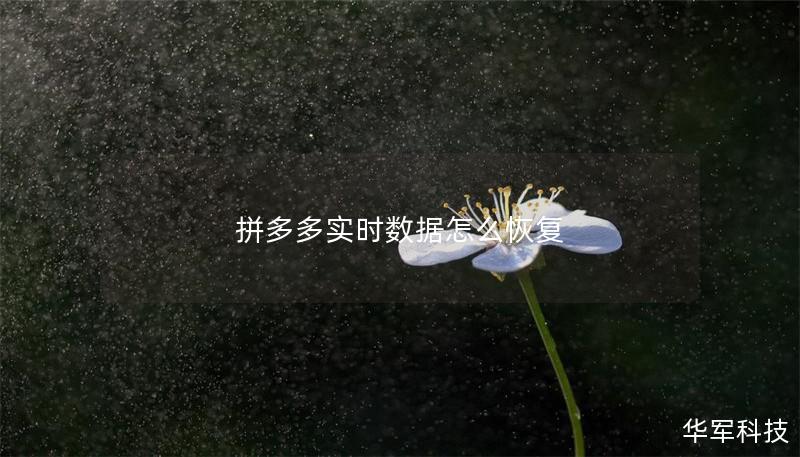 拼多多實(shí)時(shí)數(shù)據(jù)怎么恢復(fù)