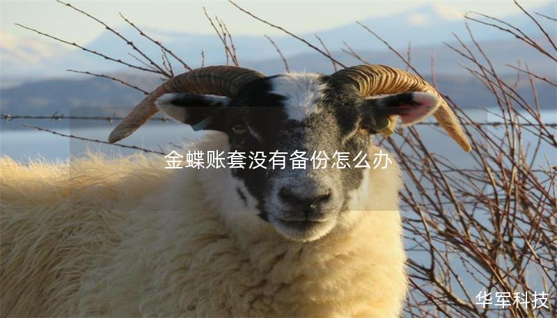 金蝶賬套沒有備份怎么辦