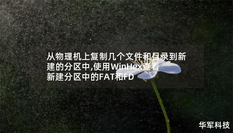 從物理機上復(fù)制幾個文件和目錄到新建的分區(qū)中,使用WinHex查看新建分區(qū)中的FAT和FD