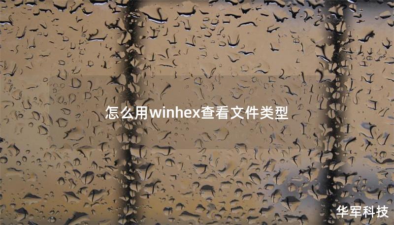 怎么用winhex查看文件類型