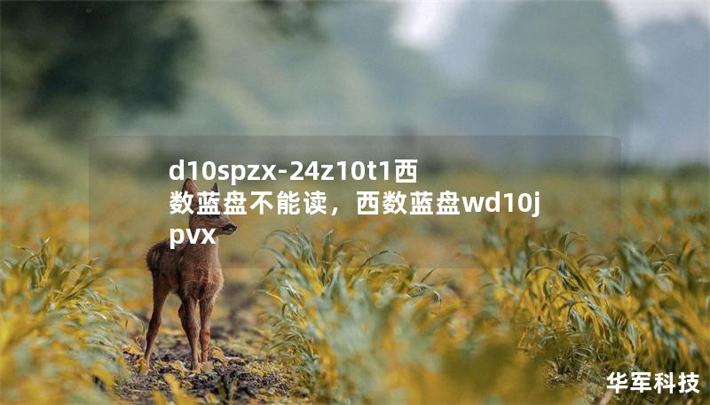 d10spzx-24z10t1西數(shù)藍盤不能讀，西數(shù)藍盤wd10jpvx