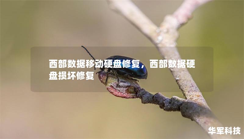 西部數(shù)據(jù)移動硬盤修復(fù)，西部數(shù)據(jù)硬盤損壞修復(fù)