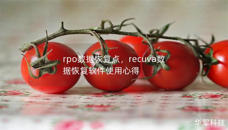 rpo數(shù)據(jù)恢復(fù)點(diǎn)，recuva數(shù)據(jù)恢復(fù)軟件使用心得