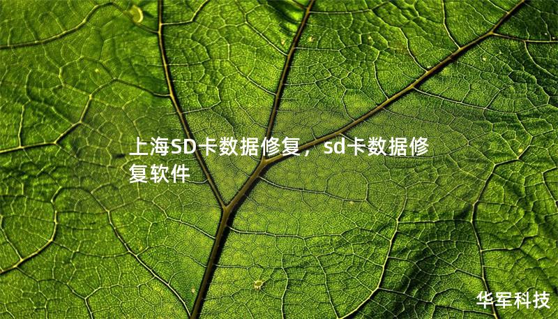 上海SD卡數(shù)據(jù)修復，sd卡數(shù)據(jù)修復軟件