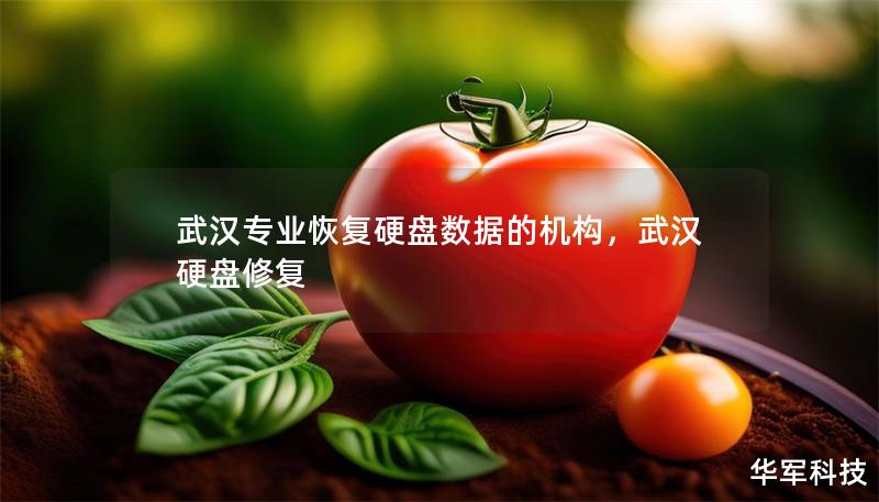 武漢專業(yè)恢復(fù)硬盤數(shù)據(jù)的機(jī)構(gòu)，武漢硬盤修復(fù)