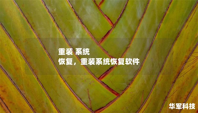 重裝 系統(tǒng) 恢復(fù)，重裝系統(tǒng)恢復(fù)軟件