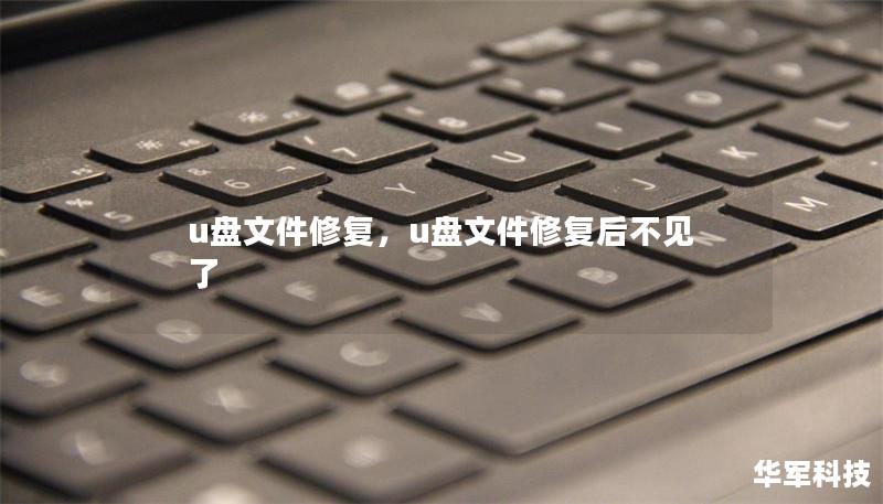 u盤文件修復，u盤文件修復后不見了